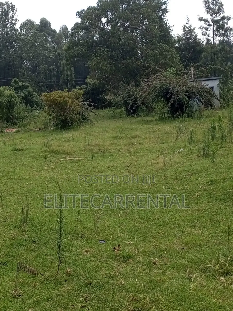 1/4 Acre Pieces Land at Kahara Shops Suitable for Farming