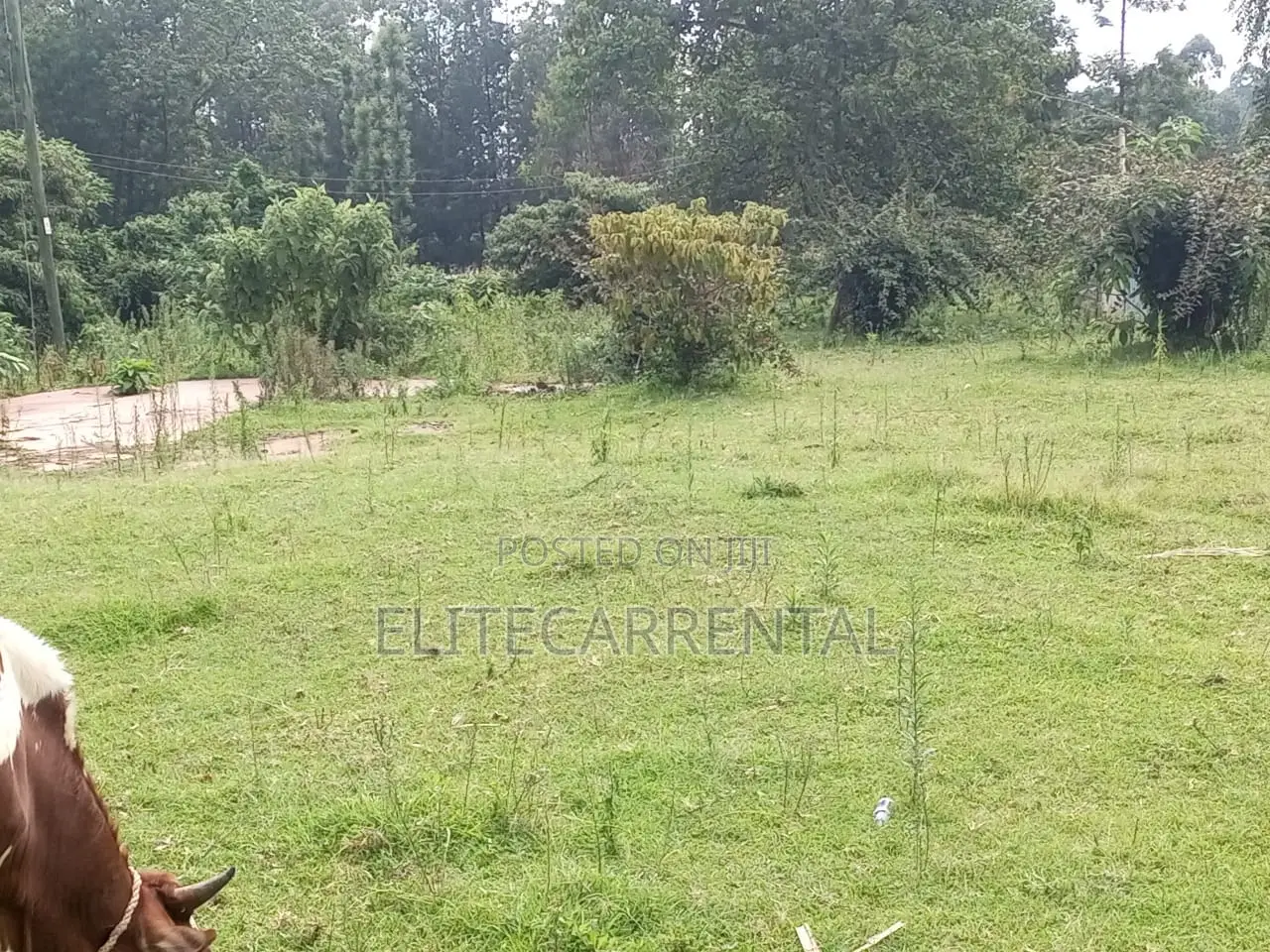 1/4 Acre Pieces Land at Kahara Shops Suitable for Farming