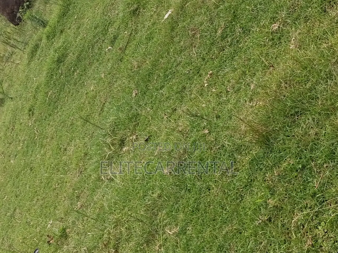 1/4 Acre Pieces Land at Kahara Shops Suitable for Farming