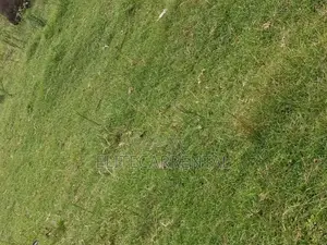 1/4 Acre Pieces Land at Kahara Shops Suitable for Farming