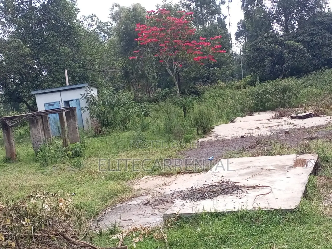 1/4 Acre Pieces Land at Kahara Shops Suitable for Farming