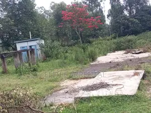 1/4 Acre Pieces Land at Kahara Shops Suitable for Farming