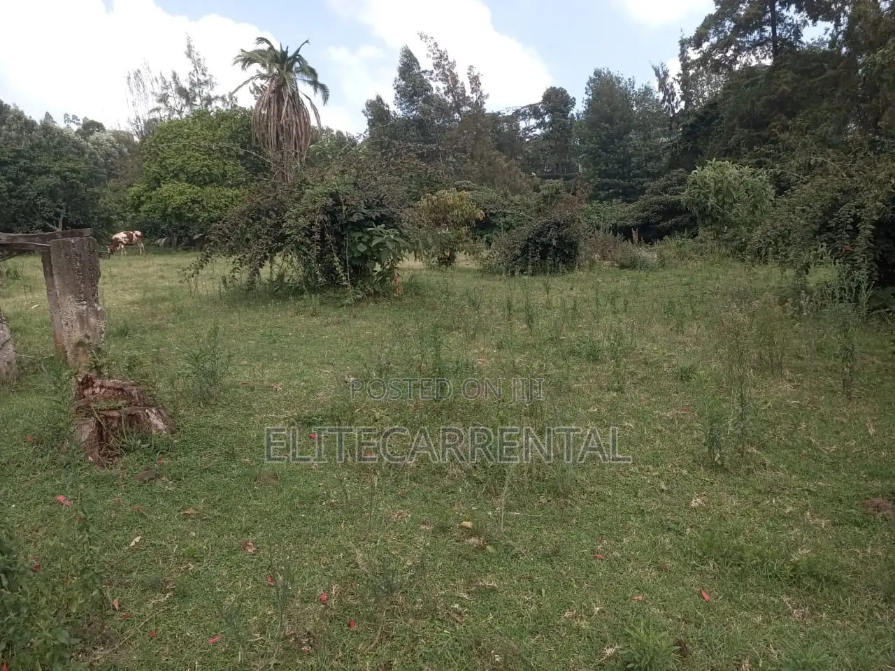 1/4 Acre Pieces Land at Kahara Shops Suitable for Farming