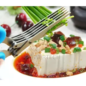 *Multifunctional 5 Layer Herb Scissors *