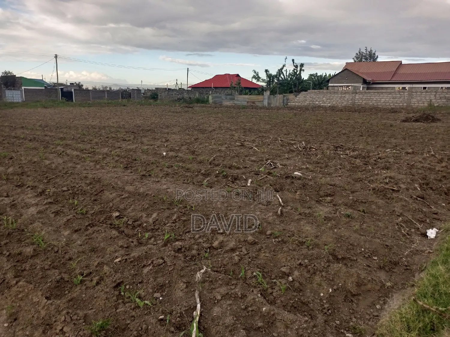 Plot for Sale in Mzee Wanyama