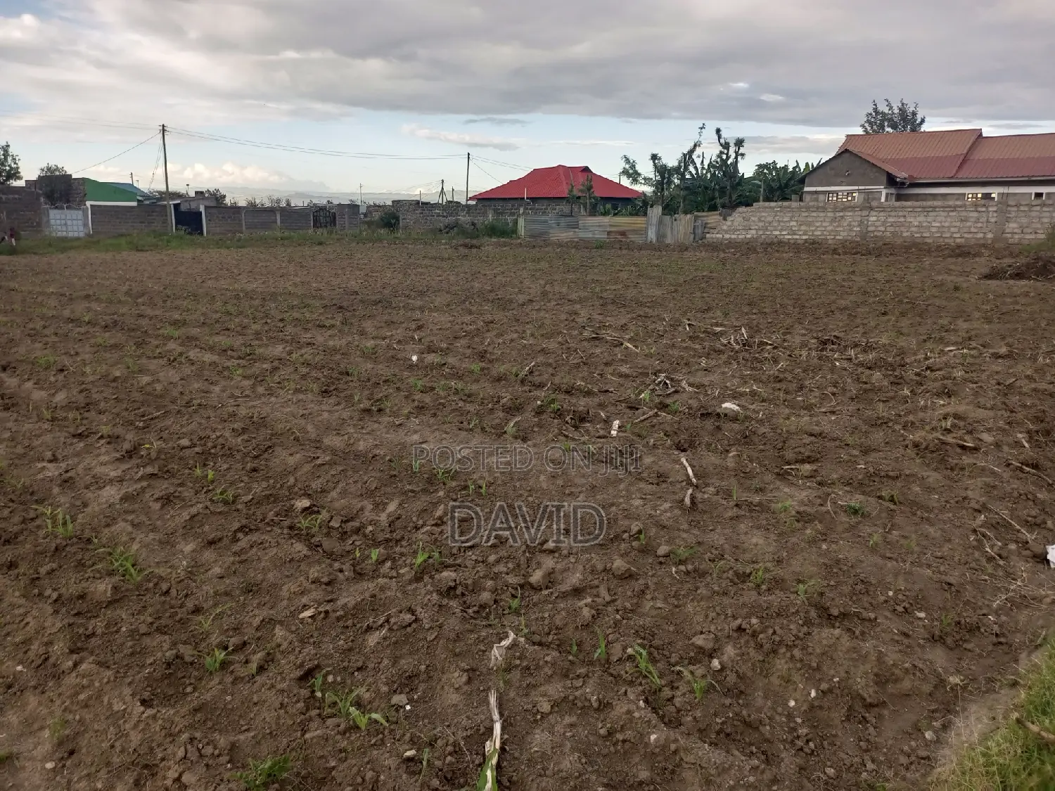 Plot for Sale in Mzee Wanyama