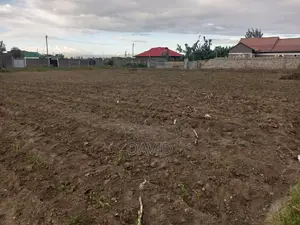 Plot for Sale in Mzee Wanyama