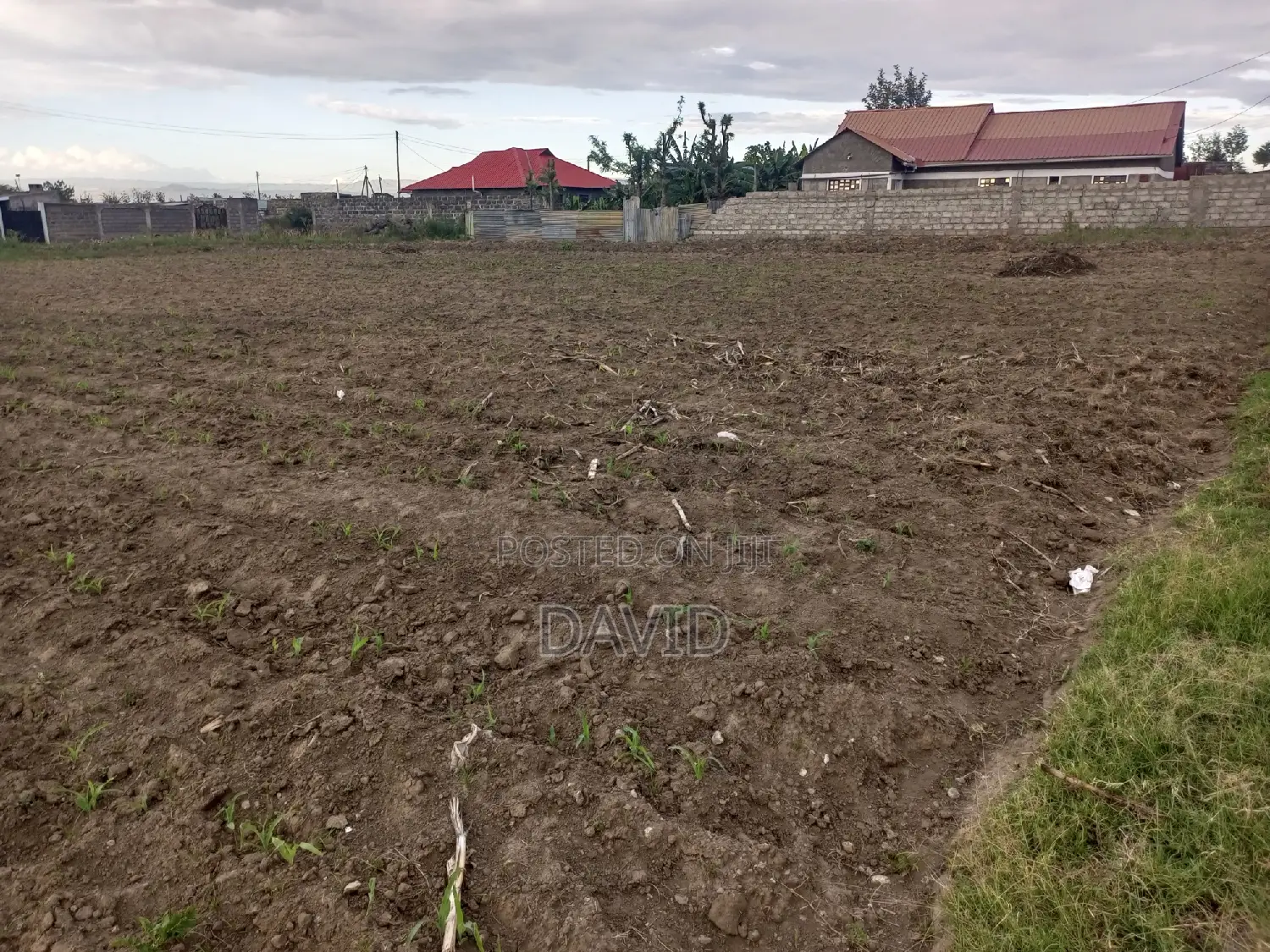 Plot for Sale in Mzee Wanyama