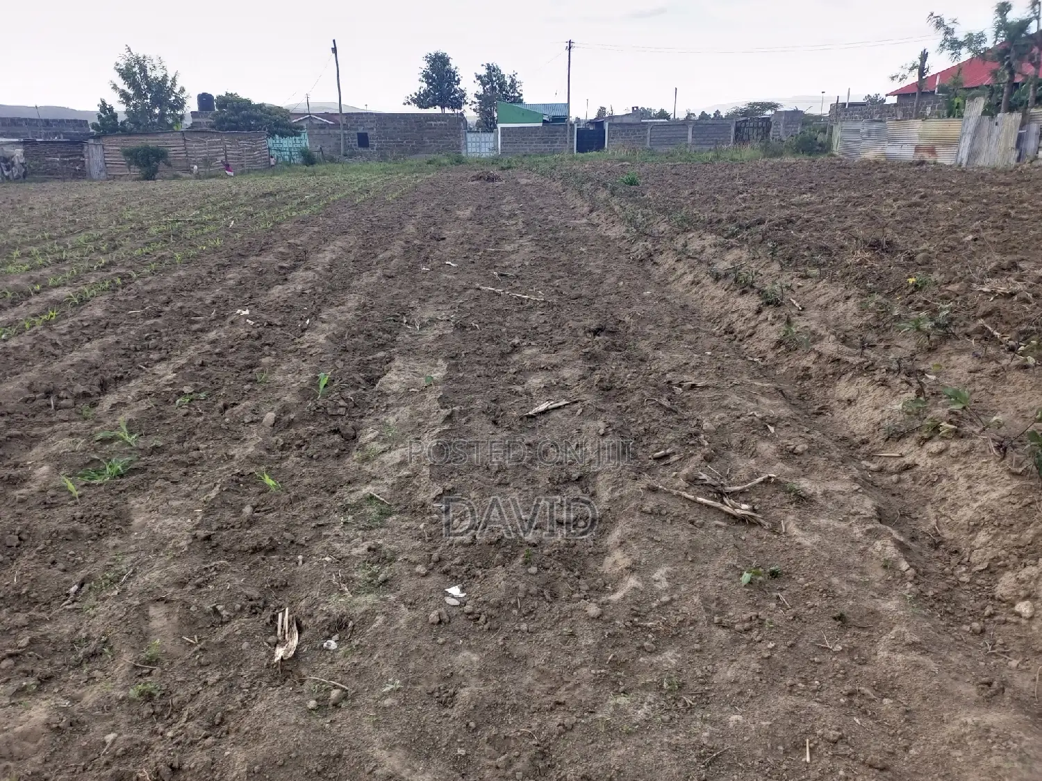 Plot for Sale in Mzee Wanyama