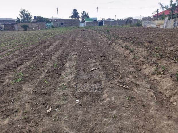 Plot for Sale in Mzee Wanyama - thumbnail 4