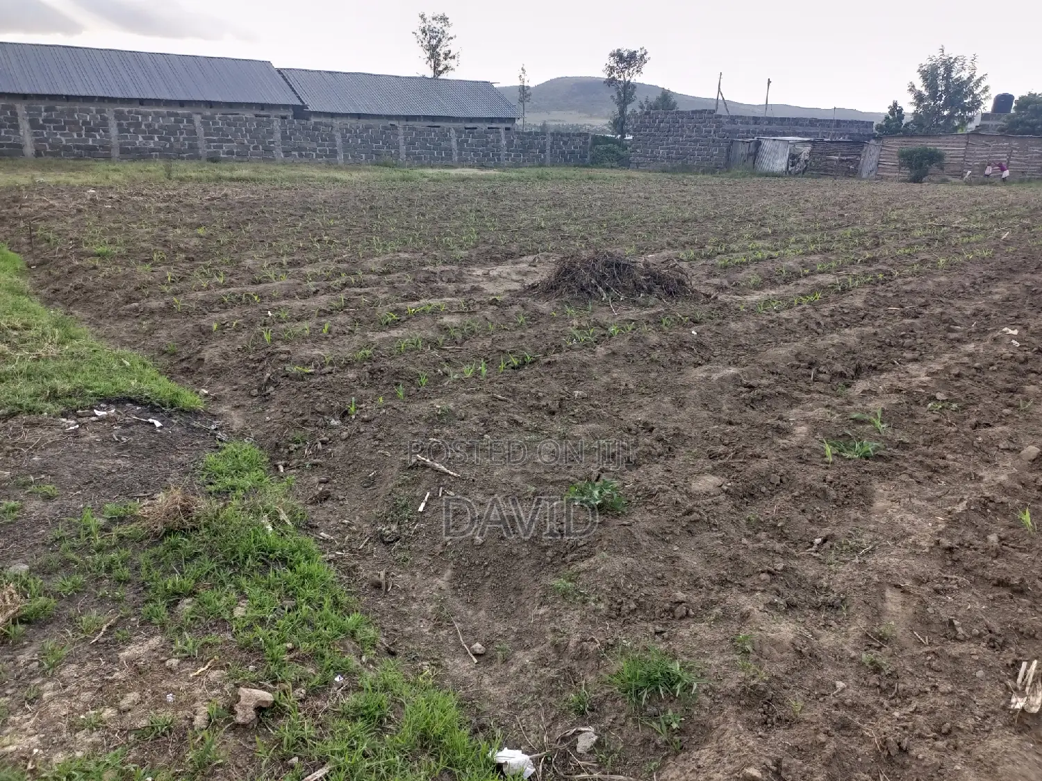 Plot for Sale in Mzee Wanyama