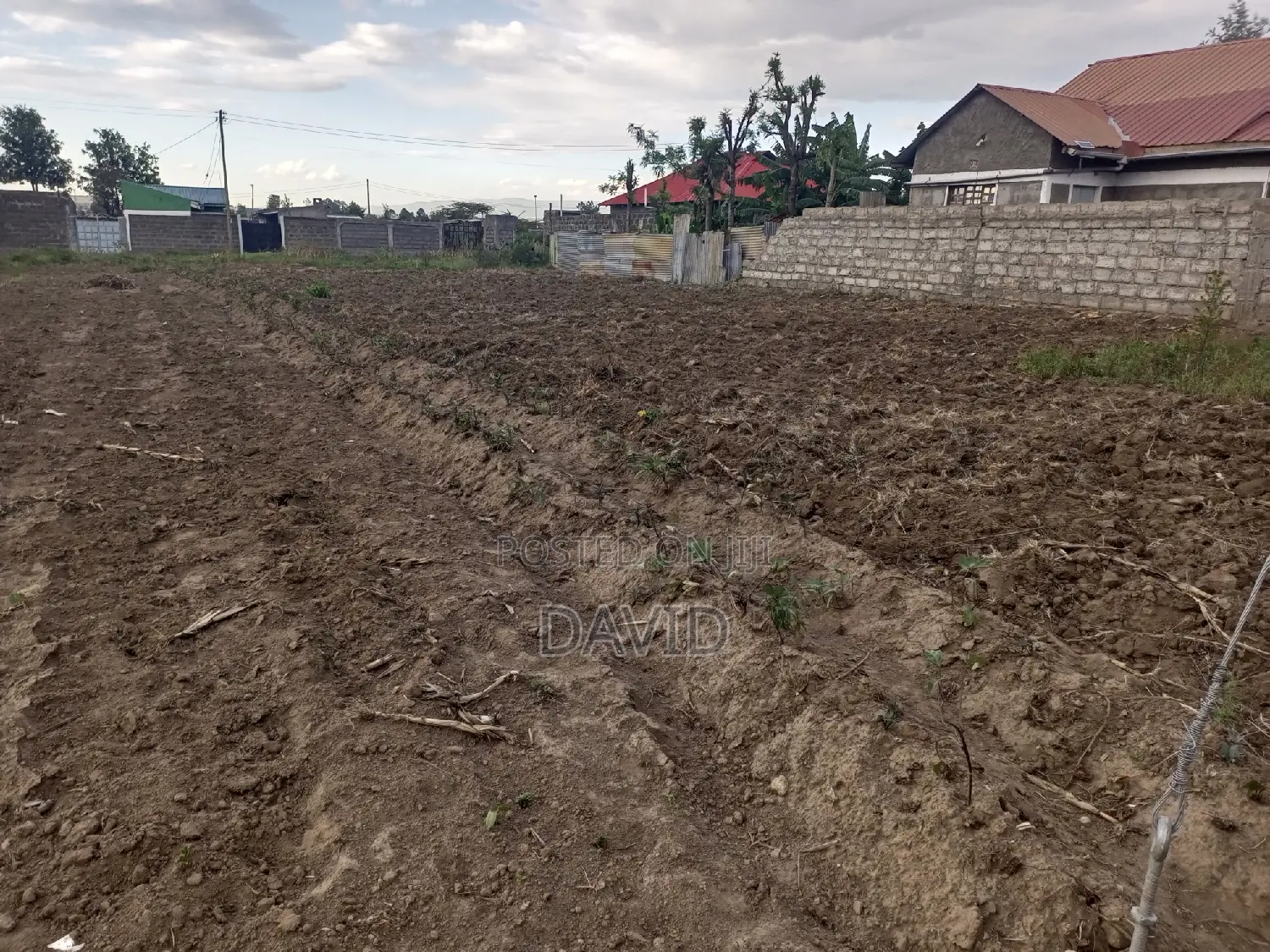 Plot for Sale in Mzee Wanyama