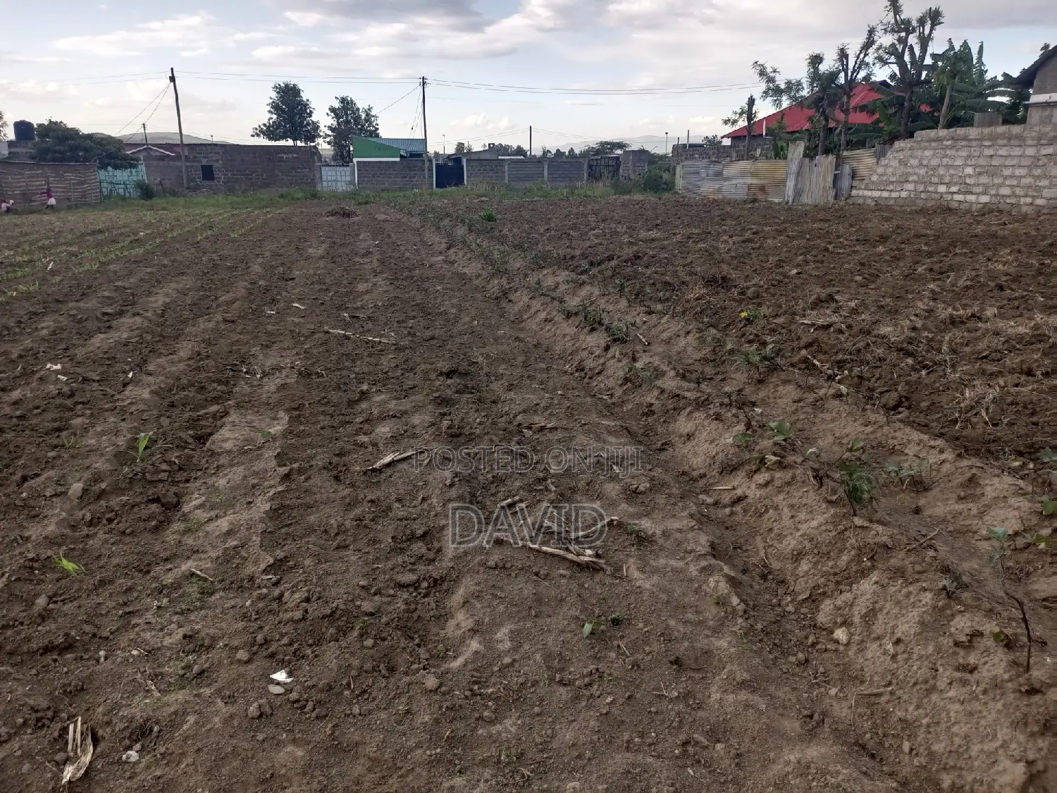 Plot for Sale in Mzee Wanyama