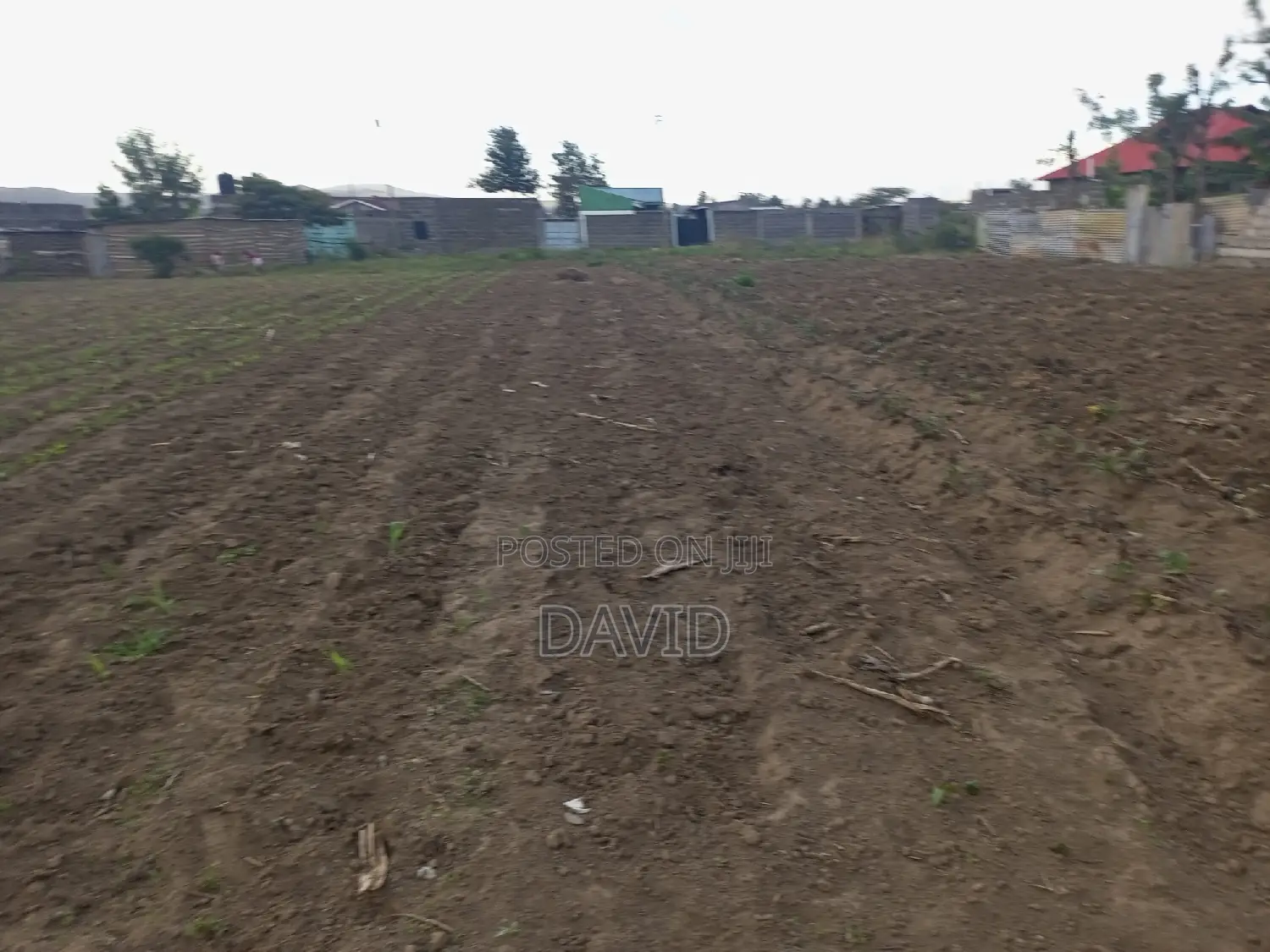 Plot for Sale in Mzee Wanyama