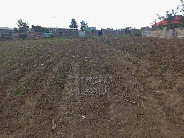 Plot for Sale in Mzee Wanyama - thumbnail 8