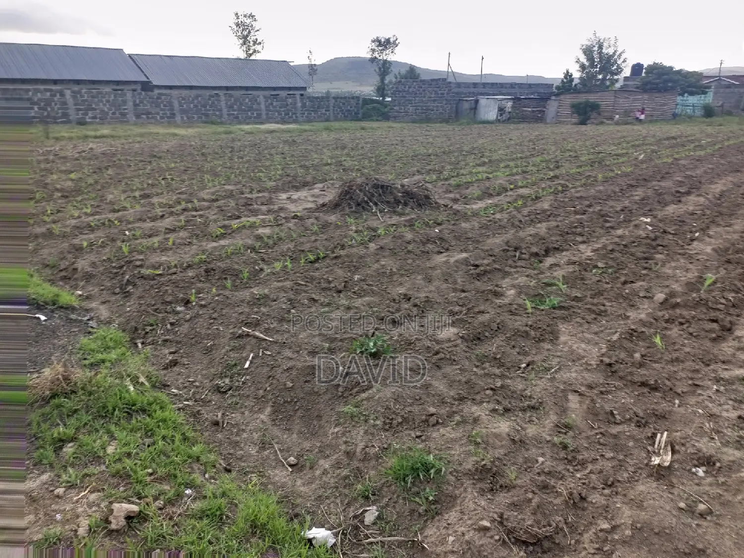 Plot for Sale in Mzee Wanyama