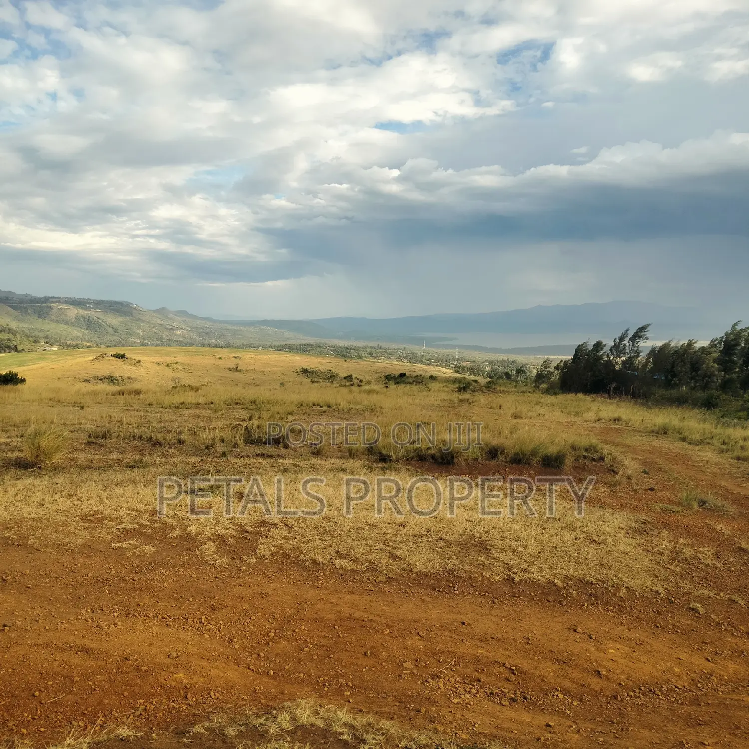 500 Acre Parcel of Land for Sale in Nakuru