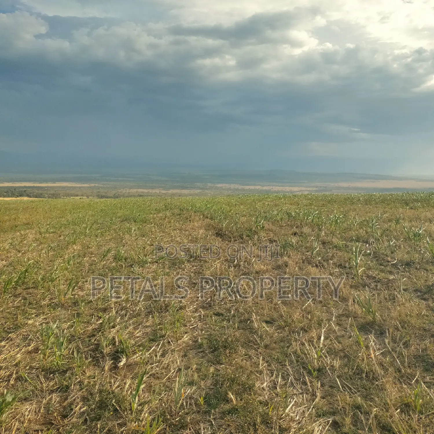 500 Acre Parcel of Land for Sale in Nakuru