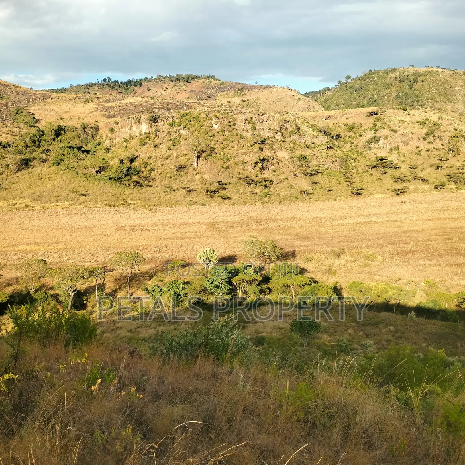 500 Acre Parcel of Land for Sale in Nakuru