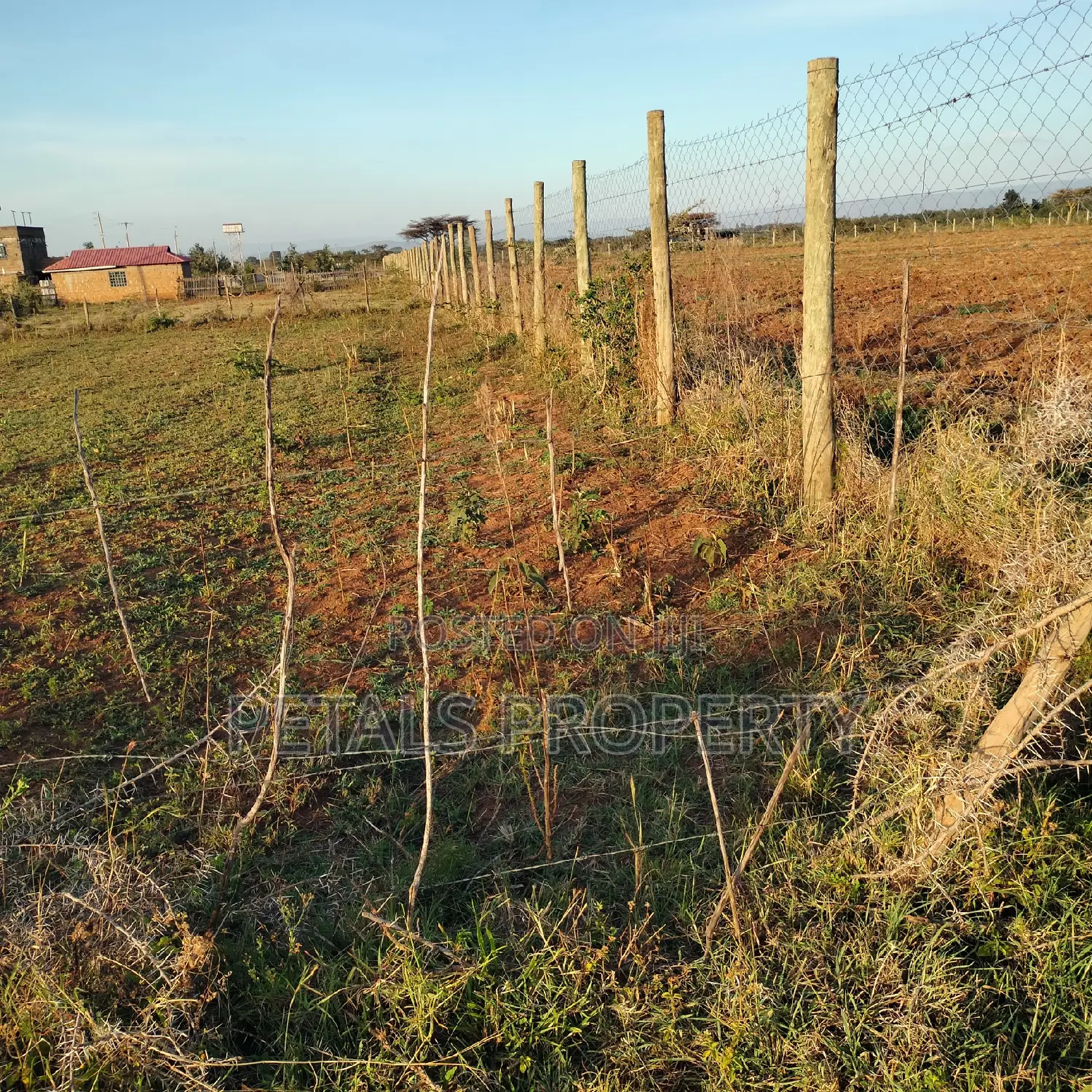 1/4 Plot for Sale in Kabarak Gichuru
