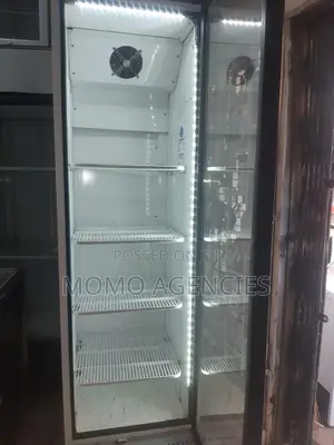 Display Fridge 400l