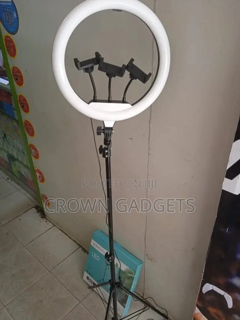 14 Inch Ringlight and Phone Holder Light Tripod for Phone2.1