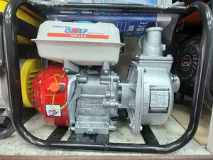 Original Golf Germany 2 Inch Water Pump