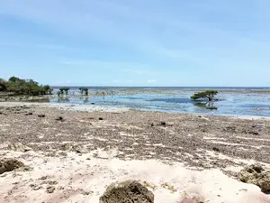 8.5 Acre Msambweni Ocean Front Property
