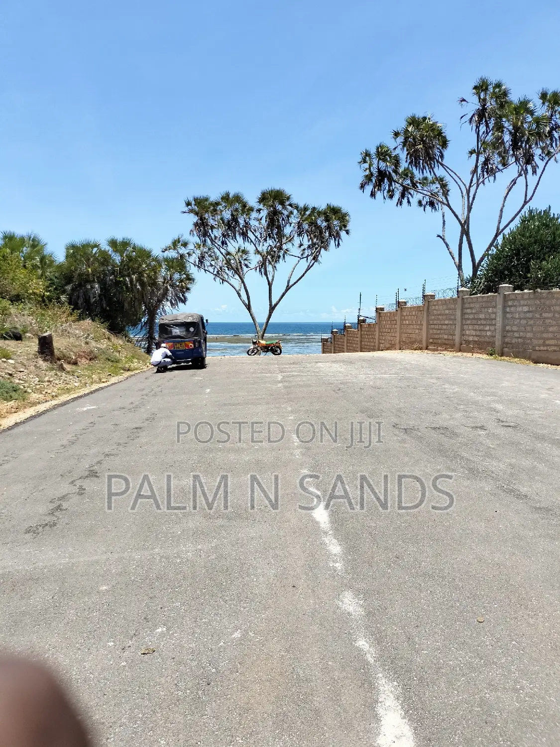 8.5 Acre Msambweni Ocean Front Property