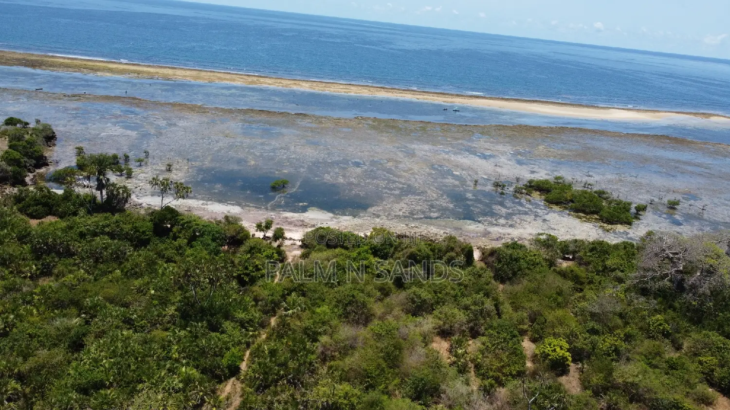 8.5 Acre Msambweni Ocean Front Property