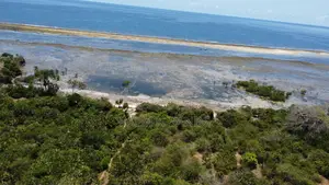 8.5 Acre Msambweni Ocean Front Property