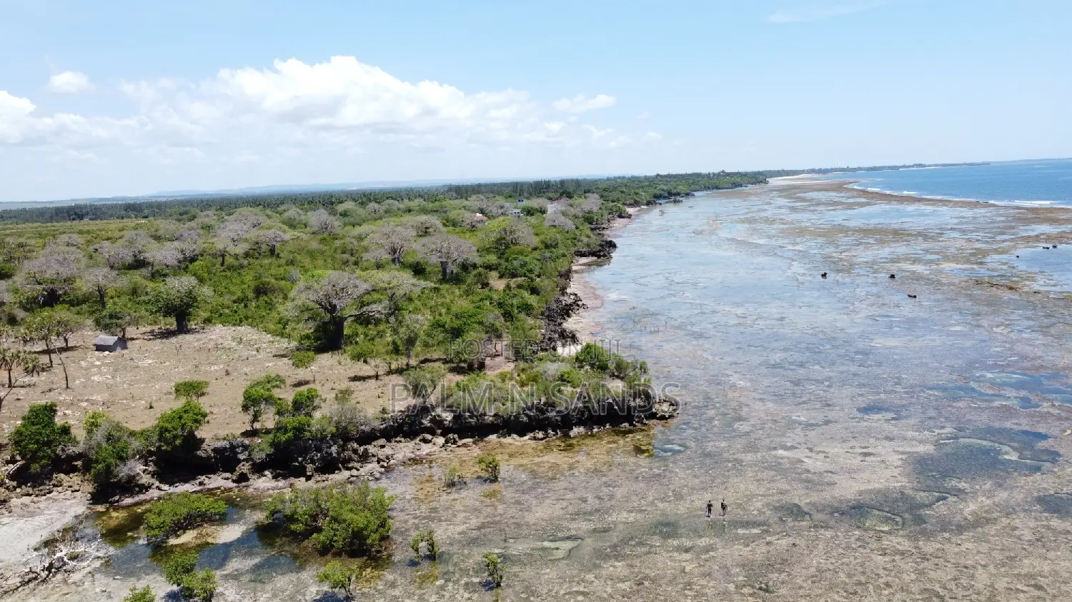 8.5 Acre Msambweni Ocean Front Property