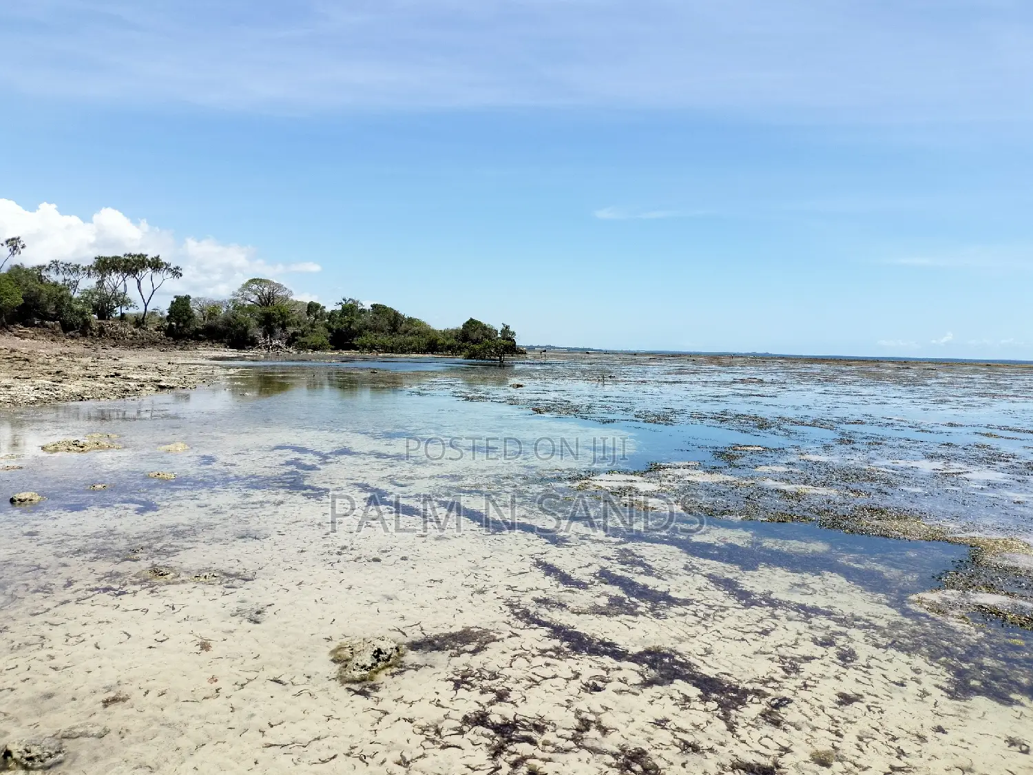 8.5 Acre Msambweni Ocean Front Property