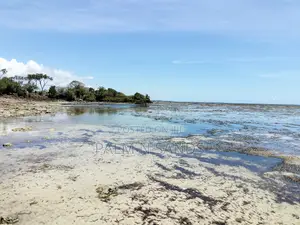 8.5 Acre Msambweni Ocean Front Property