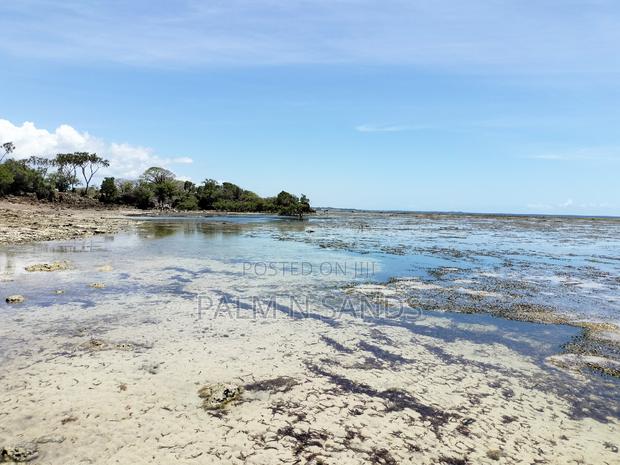 8.5 Acre Msambweni Ocean Front Property - thumbnail 5