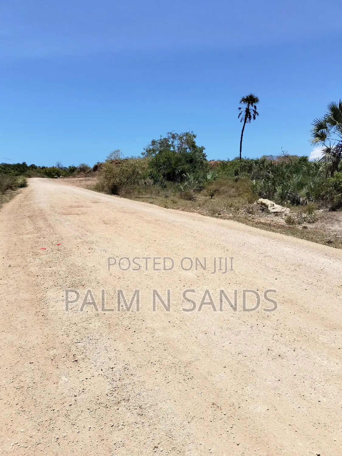 8.5 Acre Msambweni Ocean Front Property