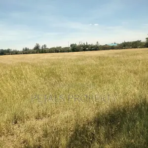 23 Acre Parcel of Land for Sale in Kabarak