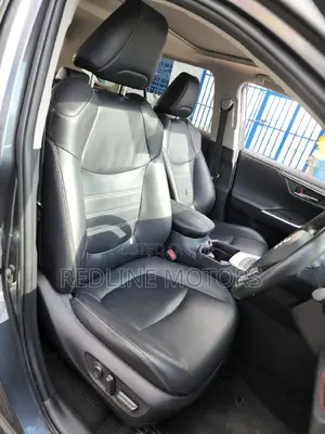 Toyota RAV4 XLE Premium FWD 2019 Gray