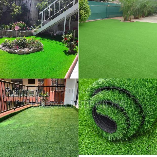 Grass Carpet Grass Carpet Grass Carpet Grass Carpet - main view