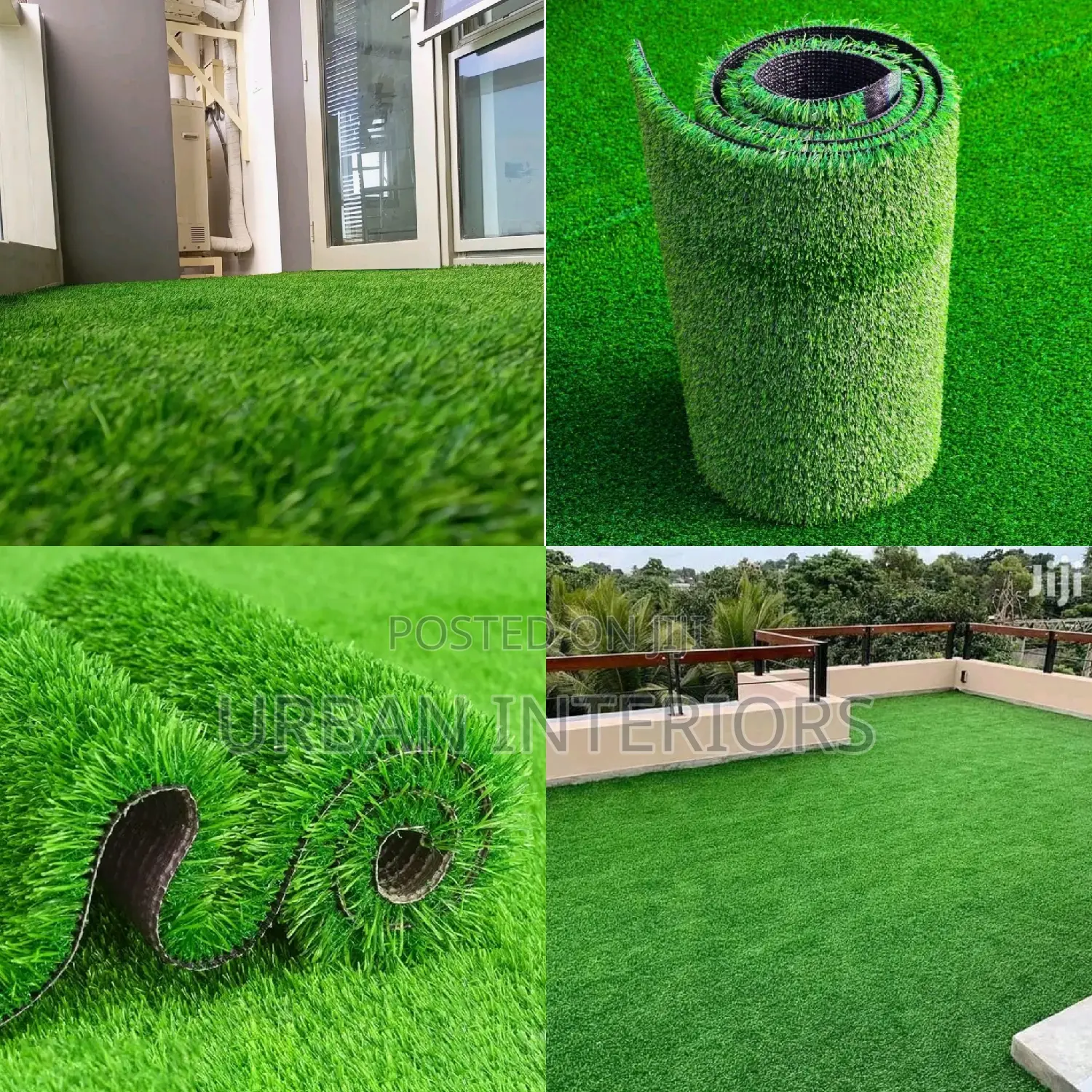 Grass Carpet Grass Carpet Grass Carpet Grass Carpet