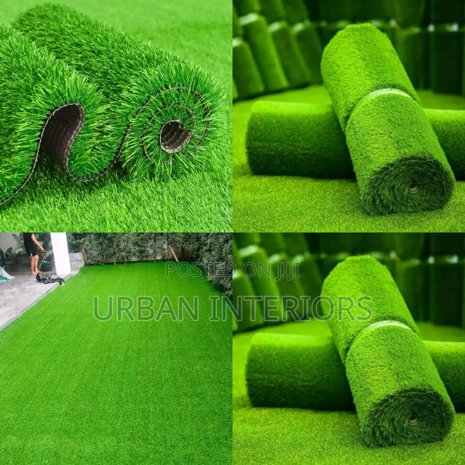 Grass Carpet Grass Carpet Grass Carpet Grass Carpet