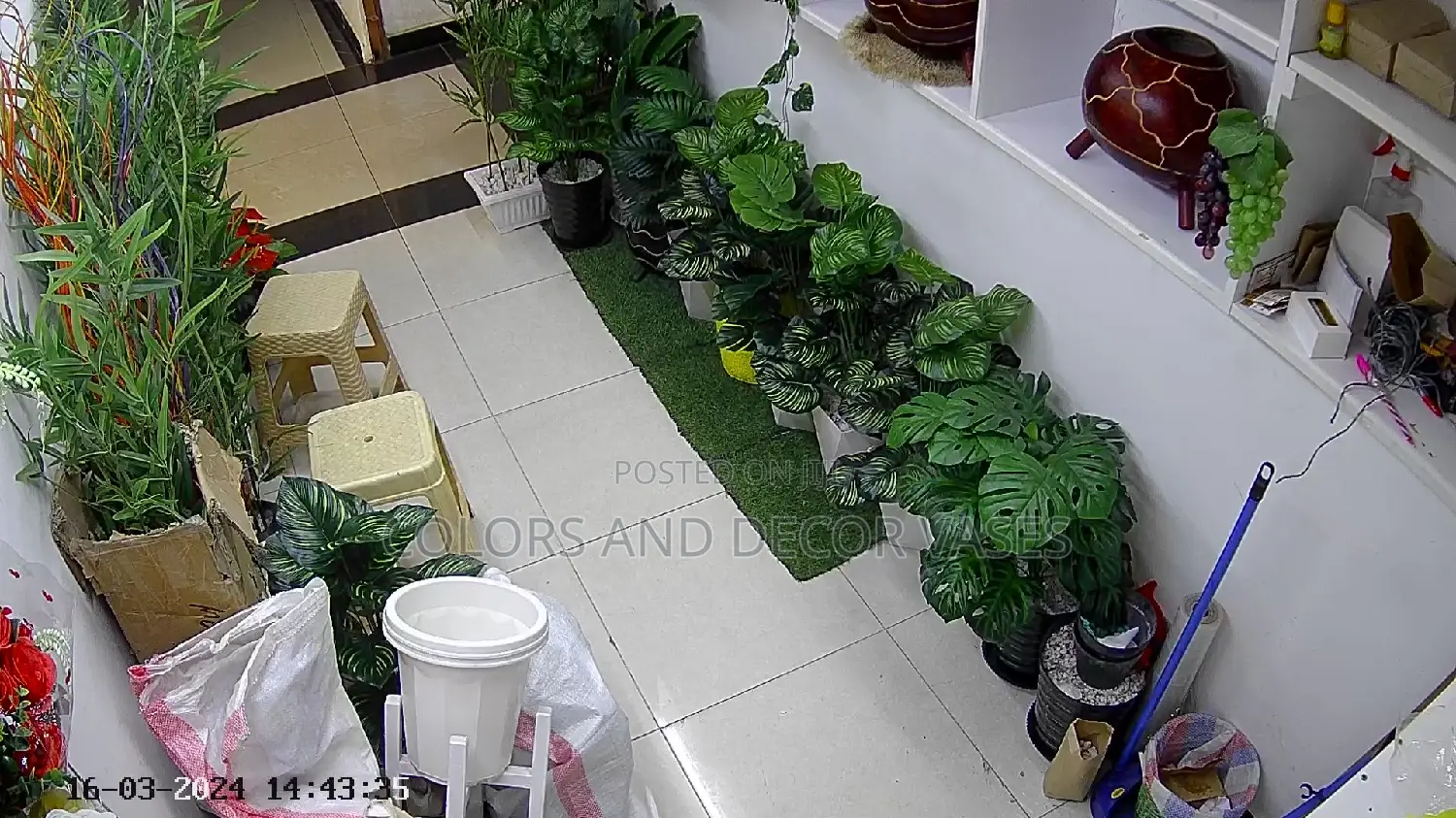 Artificial Plants and Vases