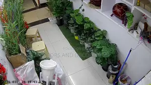 Artificial Plants and Vases