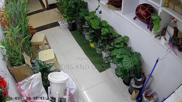 Artificial Plants and Vases - main view