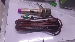 Dynamic Mic Ally Audio E98s (6 Meter Long Cable)