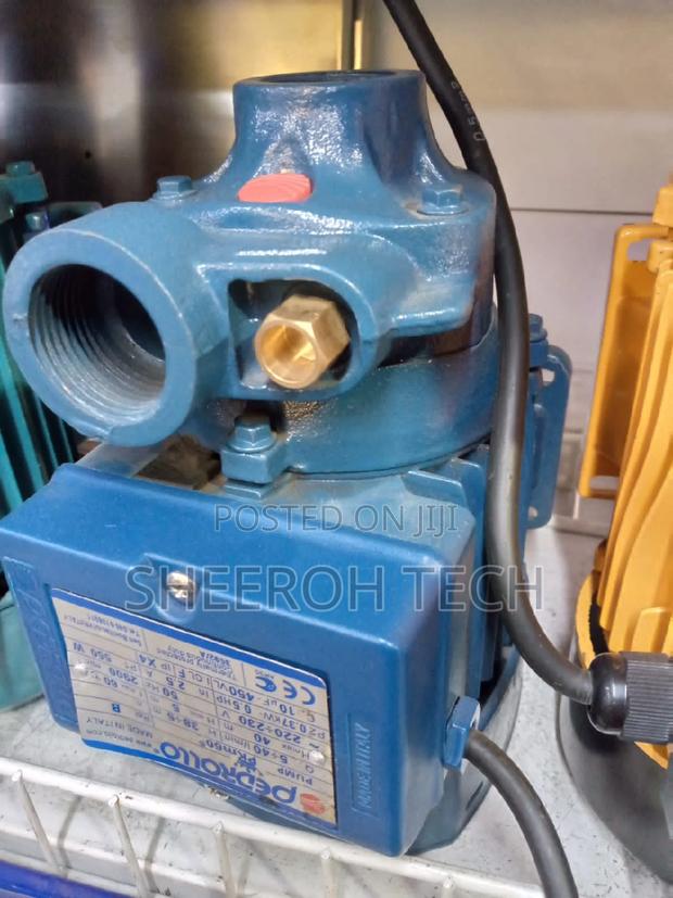 Pedrollo Water Pump - main view