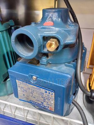 Pedrollo Water Pump New - thumbnail 2