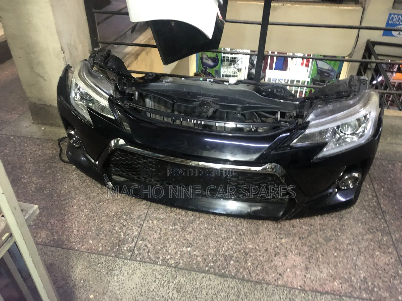 Mark X 2015 Nosecut Sport