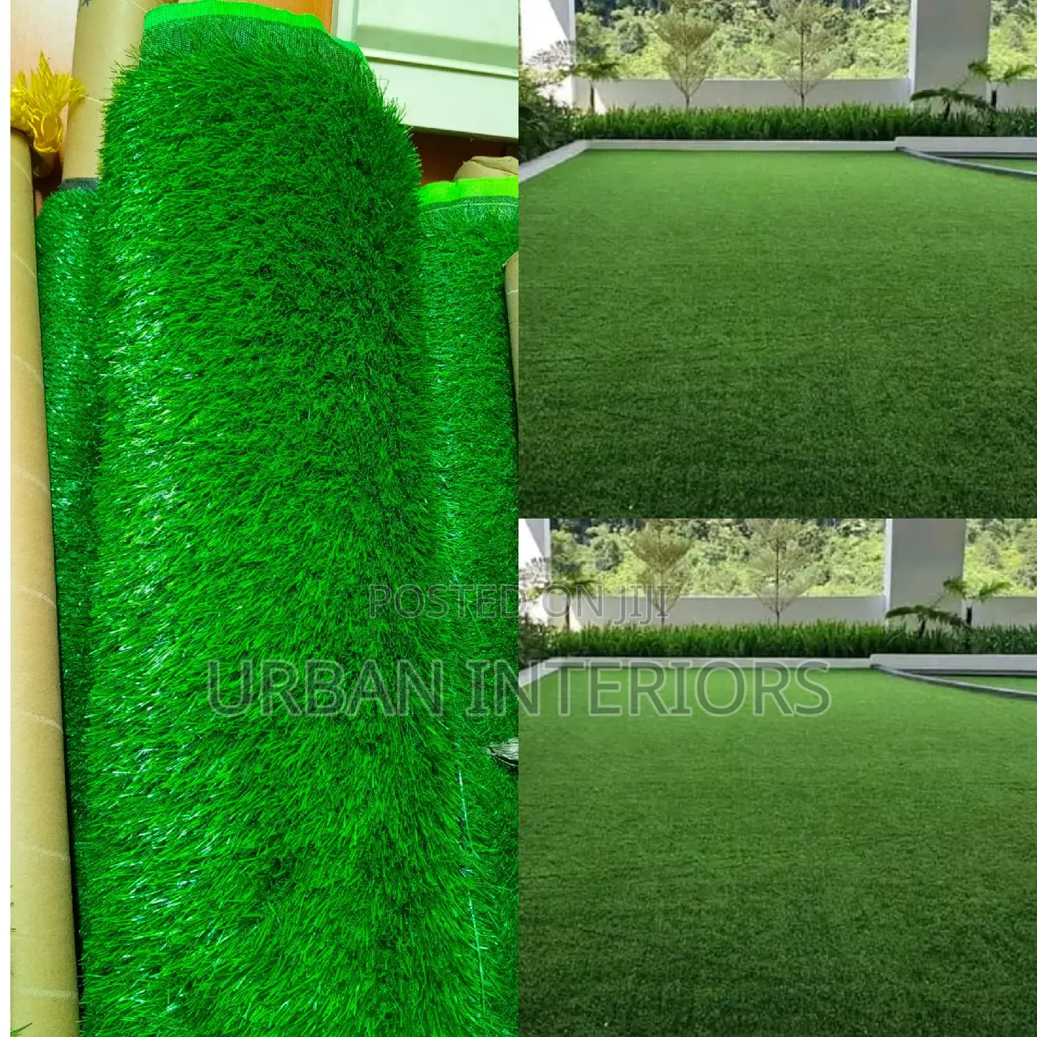 Grass Carpet Grass Carpet Grass Carpet Grass Carpet
