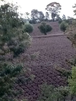 TWO ACRES OF LAND FOR SALE